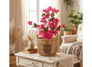 Stromek s růžovými květy Bougainvillea Tree - 25*25*60 cm