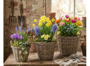 Ratanový květináč /koš s uchy Kuboo grey S - Ø 20*16/20 cm