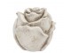 Cementová antik dekorace růže Saint antique Rose S - 9*9*8 cm daan kromhout
