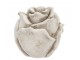 Cementová antik dekorace růže Saint antique Rose L - 13*13*13 cm daan kromhout