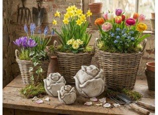 Šedá antik cementová dekorace růže Rose L - 13*13*13 cm