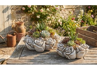 Cementový květináč mísa s růžemi Saint antique Rose - 24*24*9 cm