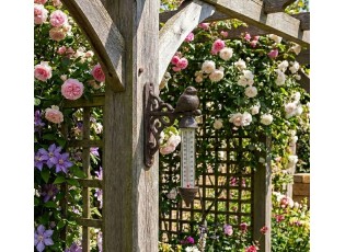 Hnědý litinový venkovní teploměr s ptáčkem - 3*11*16 cm