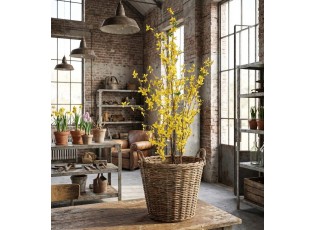 Dekorační keřík se žlutými květy zlatice Forsythia - 20*20*125 cm 