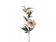Artificial Flower 83 Cm White Plastic - 14*14*83 cm Clayre & Eef