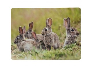 4ks pevné korkové prostírání králičí rodina v trávě - 30*40*0,4cm