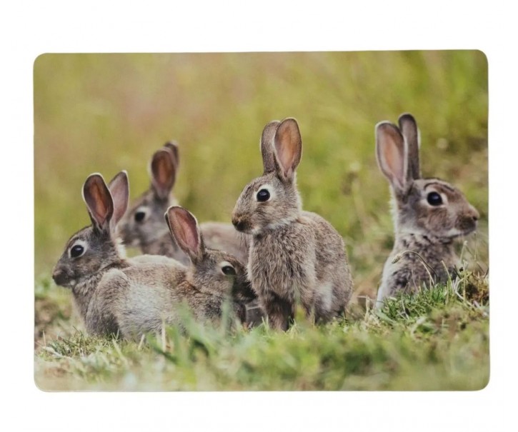 4ks pevné korkové prostírání králičí rodina v trávě - 30*40*0,4cm Mars & More 