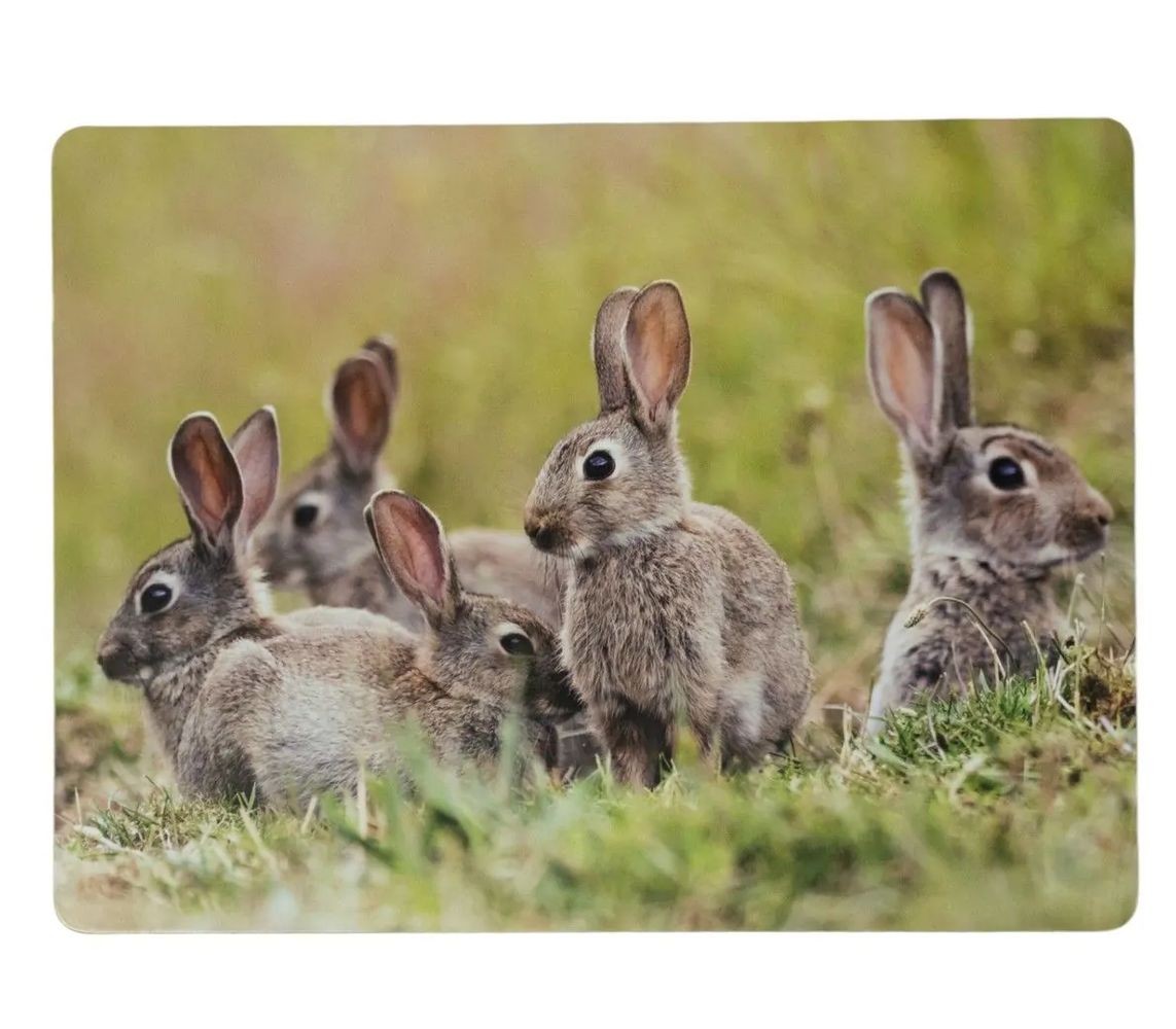 4ks pevné korkové prostírání králičí rodina v trávě - 30*40*0,4cm SCPMKF