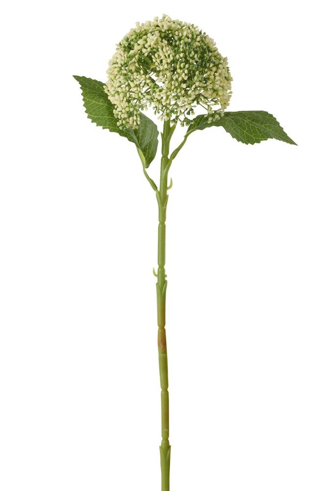 Levně Bílo-zelená dekorační květina Hortenzie Annabelle - 12*12*42 cm 63827