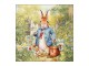 Papírové ubrousky s králíčkem na louce Mister Rabbit - 33*33 cm (20ks) Ostatn&iacute;