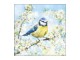 Papírové ubrousky se sýkorkou na rozkvetlé větvi Blossom - 33*33 cm (20ks) Ostatn&iacute;