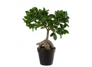 Dekorativní umělý ženšenový fíkus v květináči - 25*13*37 cm