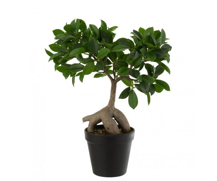 Dekorativní umělý ženšenový fíkus v květináči - 25*13*37 cm J-Line by Jolipa