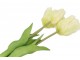 Kytice 3ks bílých realistických tulipánů Tulips - 45 cm daan kromhout