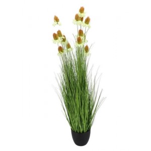 Dekorativní okrasná tráva v květináči Cosmos - 120 cm