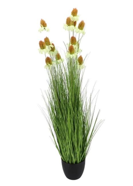 Dekorativní okrasná tráva s květy Cosmos v květináči – 120 cm