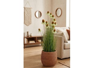 Dekorativní okrasná tráva s květy Cosmos v květináči – 120 cm