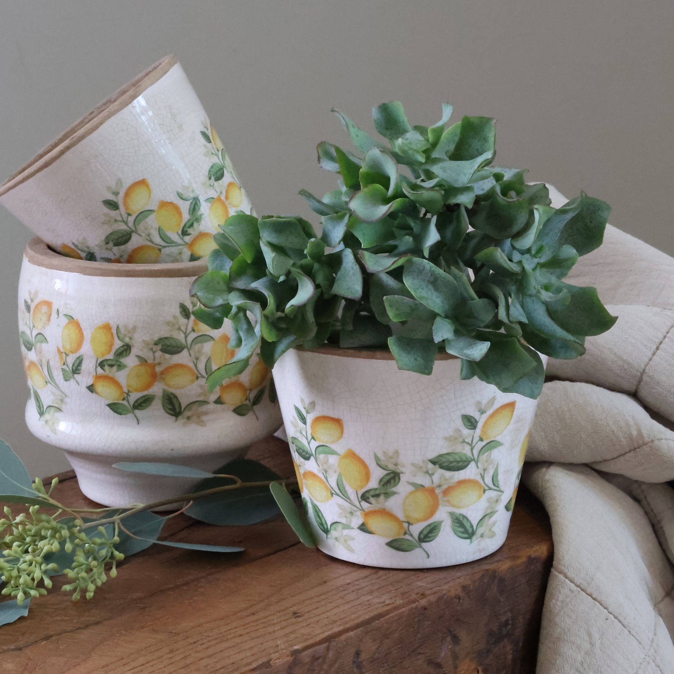 Béžový antik keramický květináč s citróny Limone Blossom - Ø 13*10 cm