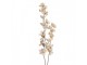 Elegantní umělá květina s krémovými květy - 10*10*110 cm Clayre & Eef