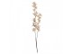 Elegantní umělá květina s krémovými květy - 10*10*110 cm Clayre & Eef