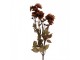 Artificial Flower 6x10x80 Cm Orange Plastic - 6*10*80 cm Clayre & Eef