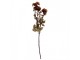 Artificial Flower 6x10x80 Cm Orange Plastic - 6*10*80 cm Clayre & Eef