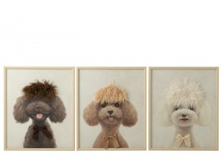 Set 3ks 3D obrazů Pudl Poodle MDF - 50*3,5*60 cm