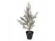 Mini Artificial Christmas Tree 20x20x60 Cm White Plastic - 20*20*60 cm Clayre & Eef