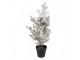 Mini Artificial Christmas Tree 20x20x60 Cm White Plastic - 20*20*60 cm Clayre & Eef