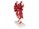 Christmas Decoration Figurine Candy Cane 12x5x16 Cm Red Plastic - Christmas Clayre & Eef