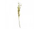 Decorative Branch Gold Colored Plastic Christmas Decoration - Clayre & Eef