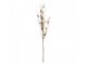 Decorative Branch Beige Plastic Christmas Decoration - Clayre & Eef