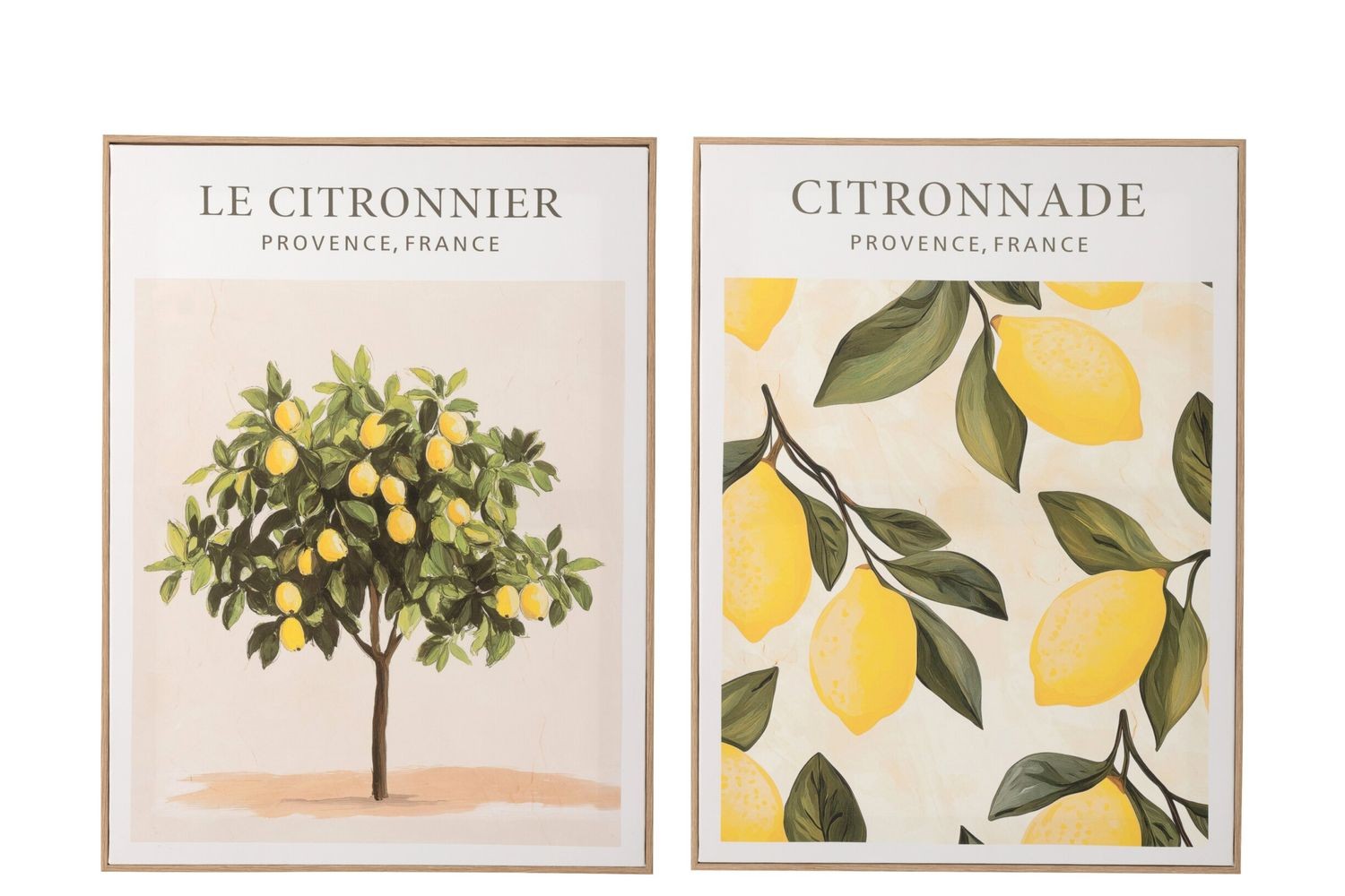 Sada 2 obrazů Citronnier - 45*60*2,5 cm