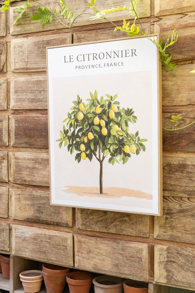 Sada 2 obrazů Citronnier - 45*60*2,5 cm