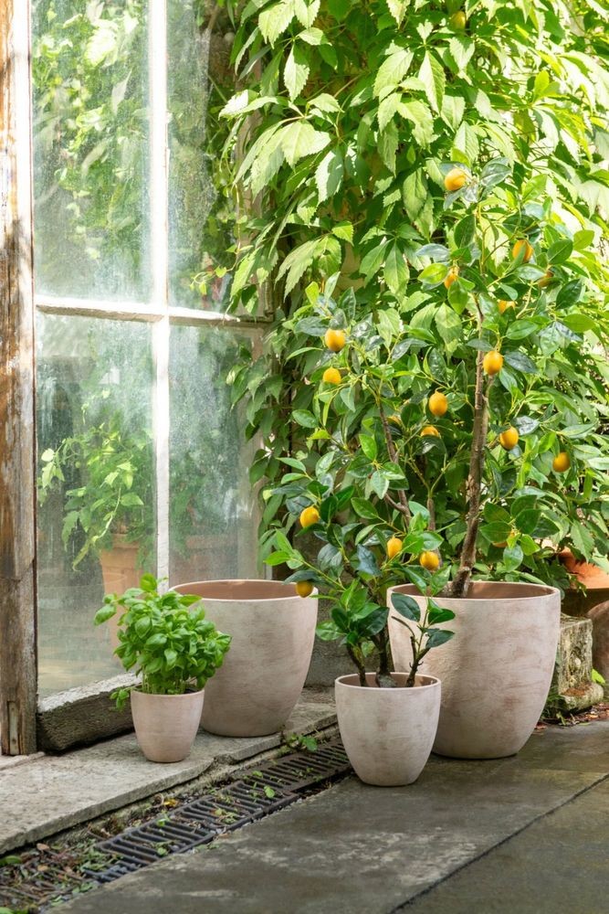 Dekorační umělá rostlina citrónovník v květináči Lemon Tree - 60*48*130 cm