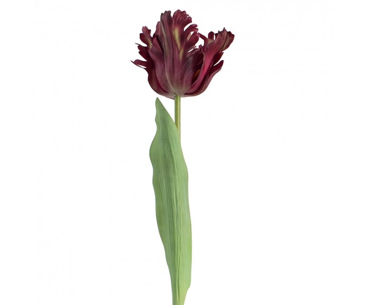 Artificial Flower Purple Plastic - Clayre & Eef