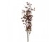 Artificial Flower Brown Plastic - Clayre & Eef