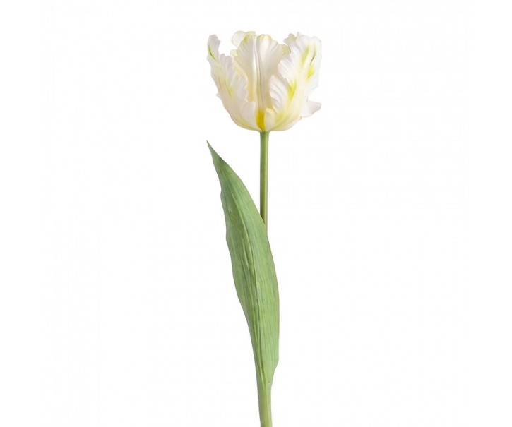 Artificial Flower White Plastic - Clayre & Eef
