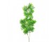 Artificial Flower Green Plastic - Clayre & Eef
