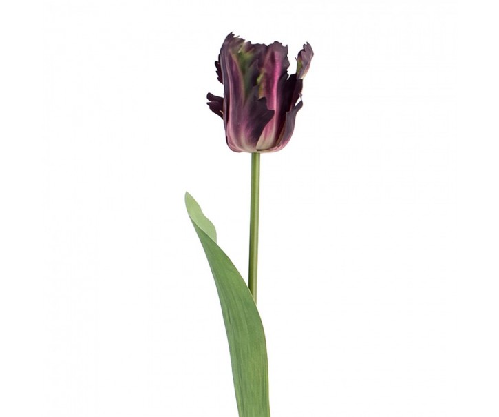 Artificial Flower Purple Plastic - Clayre & Eef