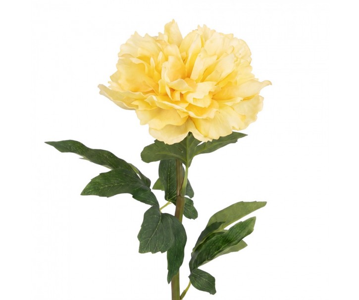 Artificial Flower Beige Plastic - Clayre & Eef