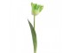 Artificial Flower Green Plastic - Clayre & Eef