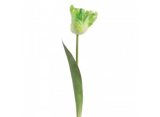 Artificial Flower Green Plastic - 