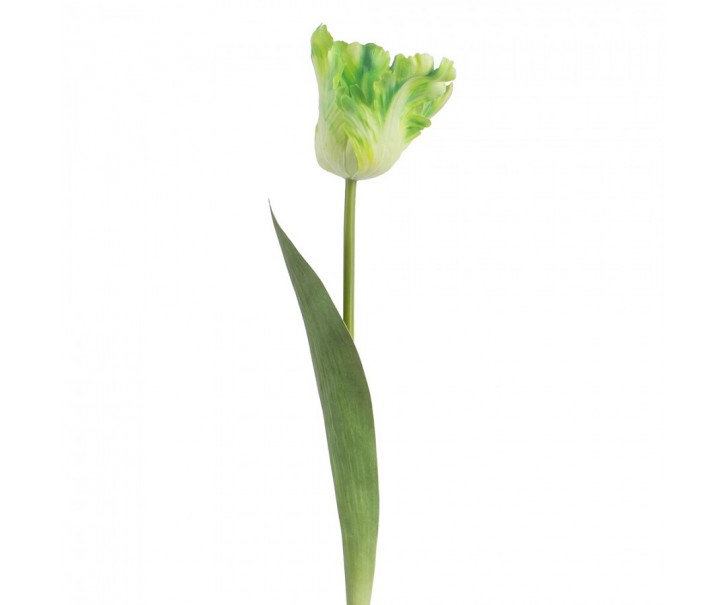 Artificial Flower Green Plastic - Clayre & Eef