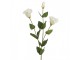 Artificial Flower White Plastic - Clayre & Eef
