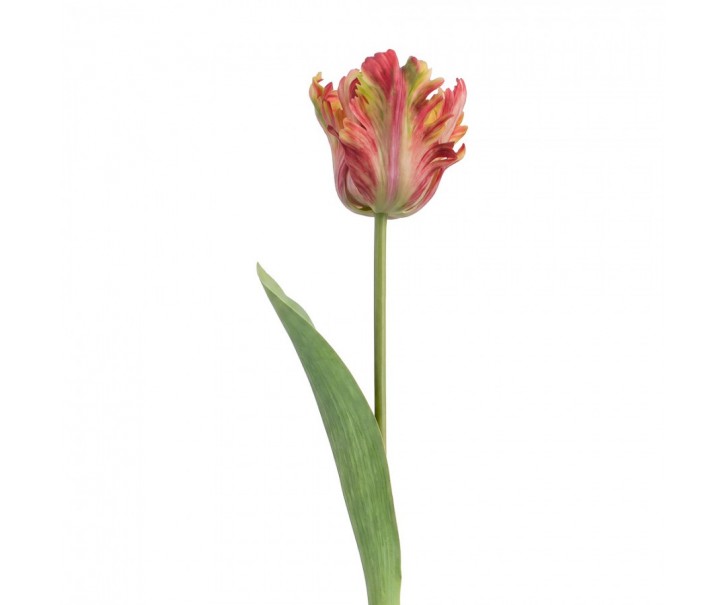 Artificial Flower Orange Plastic - Clayre & Eef