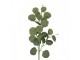 Artificial Flower White Plastic - Clayre & Eef