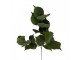 Artificial Flower Green Plastic - Clayre & Eef