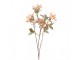 Artificial Flower Beige Plastic - Clayre & Eef