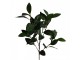 Artificial Flower Green Plastic - Clayre & Eef